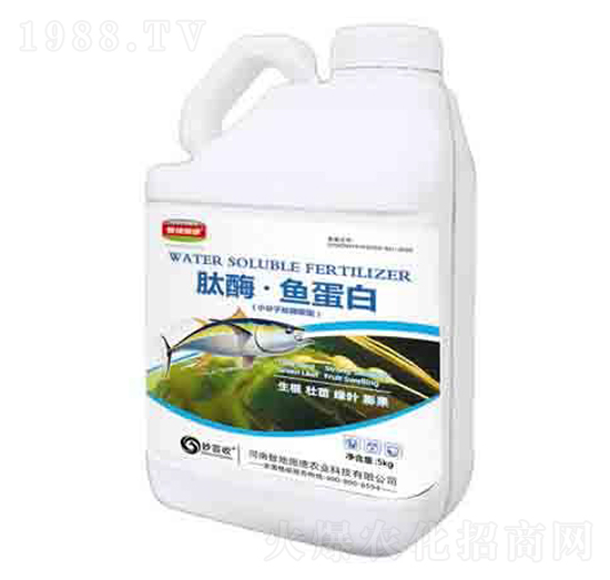 ��ø���~���� ����