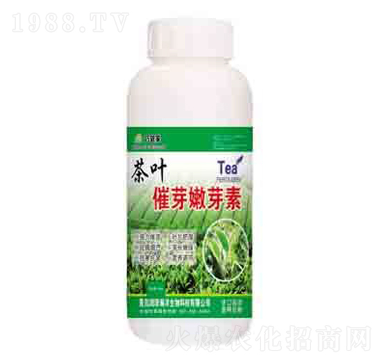 ���~��ѿ��ѿ�� ��(r��n)��