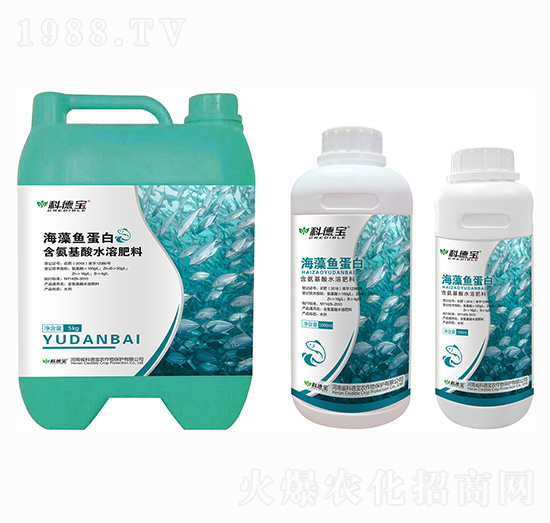 �����~���� �Ƶ�