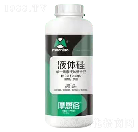 Һ�w�� Ħ����