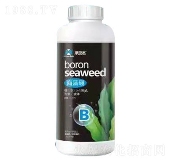 ������ Ħ����