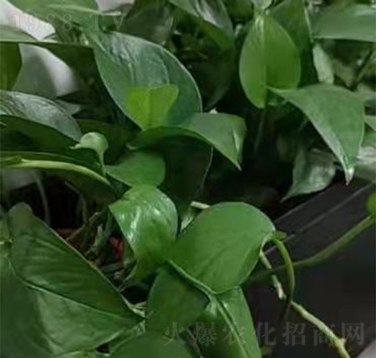 �G�}-��������