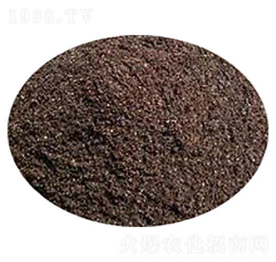 �o(w��)��������|(zh��)-�ݸ����B(t��i)