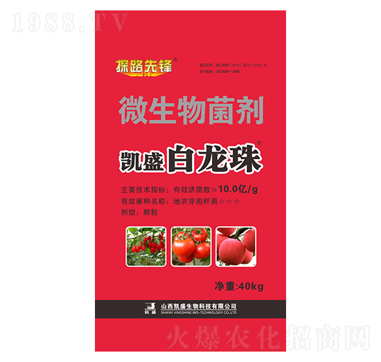40kg΢�������-������-�Pʢ�ʘI(y��)