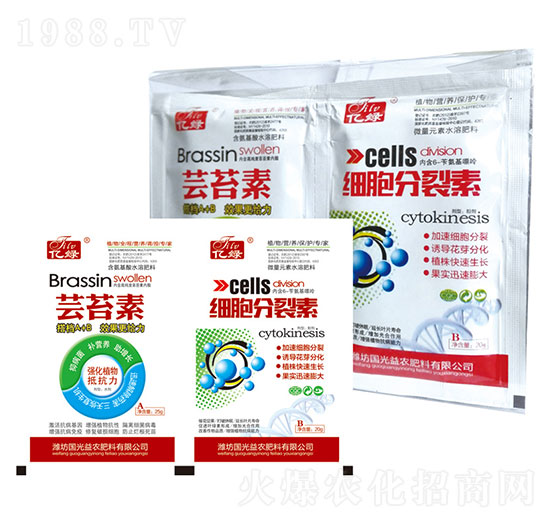 �|̦��+����������-�������r(n��ng)