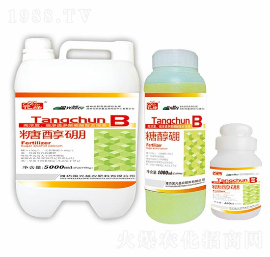 �Ǵ���-��(gu��)�����r(n��ng)