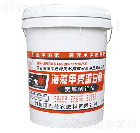 ����ך�����ø-��(gu��)�����r(n��ng)