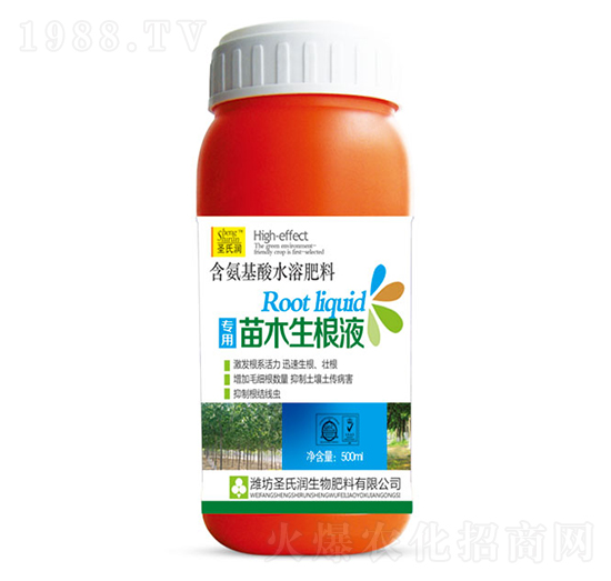 ��ľ����Һ-ʥ�ϝ�