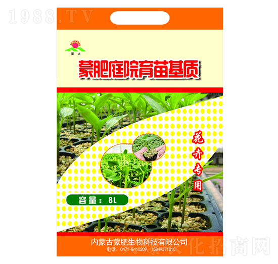 ���܌����ɷ�ͥԺ������|-�ɴ�