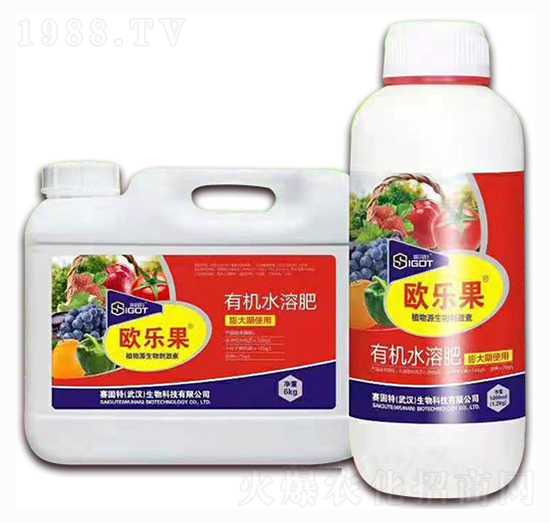 С���������ÚW����-ِ����