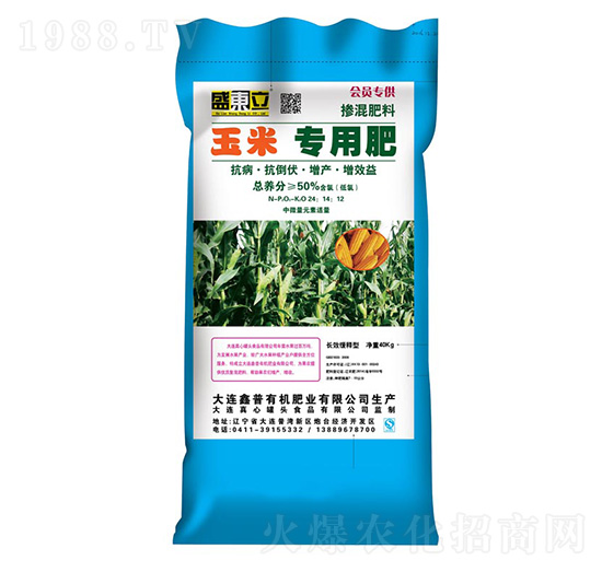 ���׌��÷�24-14-12-ʢ�|��-����