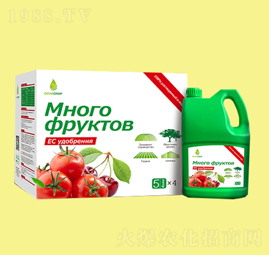 ������Һ�w��-��Ș�