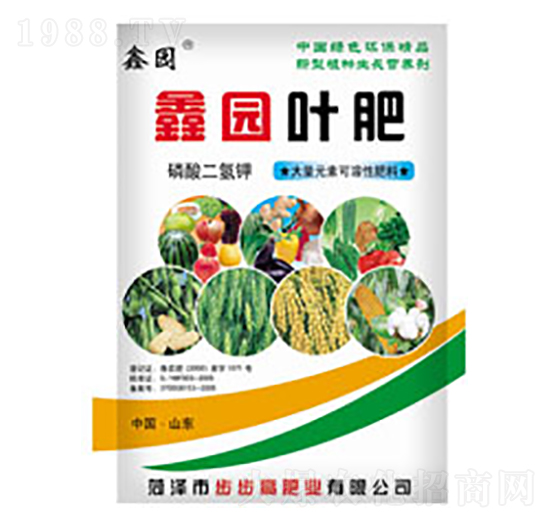 �Έ@�~��-�Έ@-�����߷ʘI(y��)