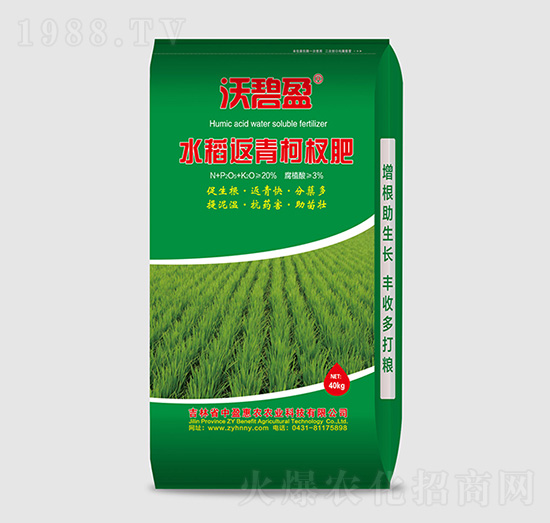 水稻返青柯杈肥-沃碧盈-中盈惠農