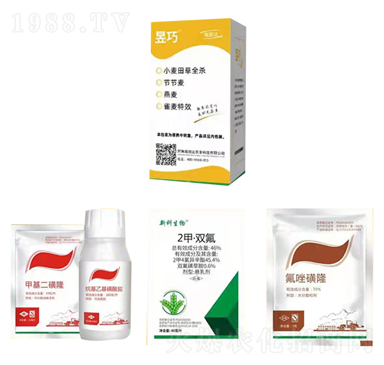 С�����ȫ��-����-�����_(d��)