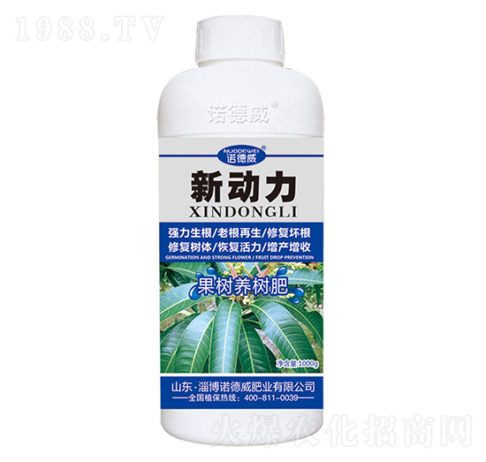 �����B(y��ng)���-����-�Z����