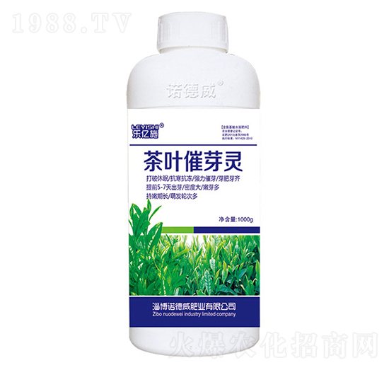 ���~��ѿ�`-���|ʩ-�Z����