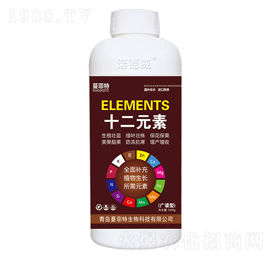 ʮ��Ԫ��-�Z����