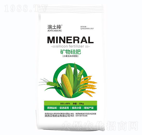 ��������������-����ʘI(y��)