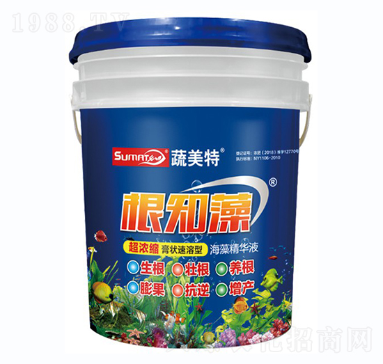 ����s���������-��֪��-������