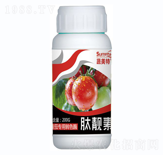 ���ь����D(zhu��n)ɫø-���n��-������