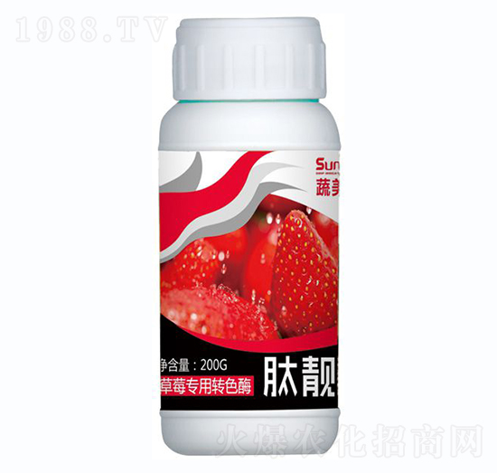 ��ݮ��(zhu��n)���D(zhu��n)ɫø-���n��-������