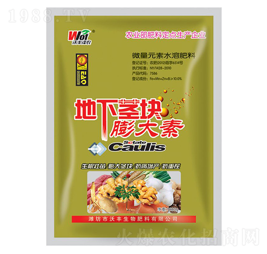 1000g�����o�K�����-���S���r-���S����