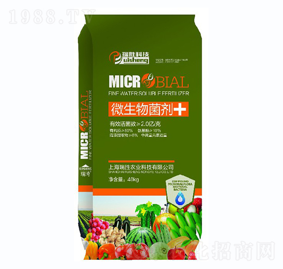 ΢�������-�����r(n��ng)�I(y��)