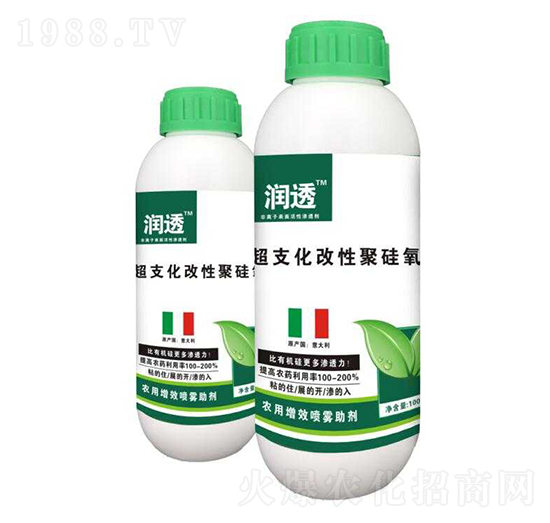 ��֧���ľ۹���-��͸-�R�Ǻτ�(chu��ng)