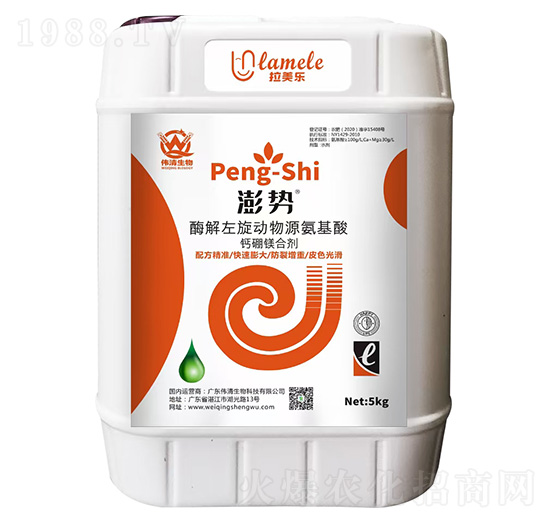 ø���������ﰱ�����}���V�τ�-���-��������