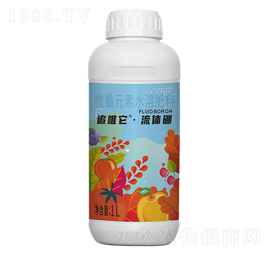 ׷Ψ�����w��-һ��