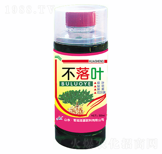 �����~�~���-�ѿ�