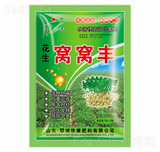 �����C�C�S-�ѿ�