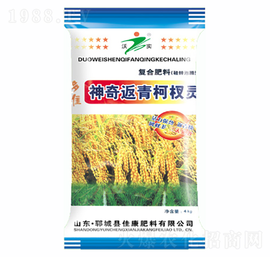 �����辷�-�ѿ�