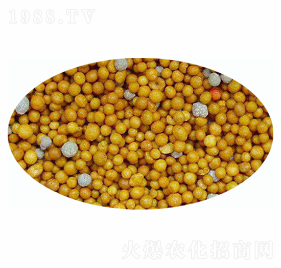 ��֬����-�����r�I(y��)