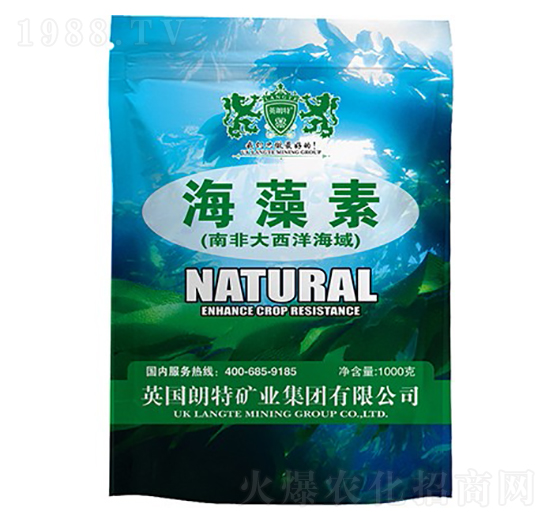 1000g������-Ӣ����