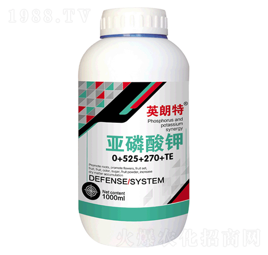 �������0-525-270+TE-Ӣ����