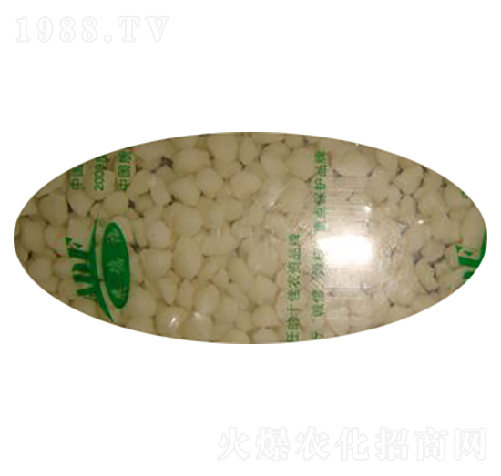 �����������w��-�W�¸�