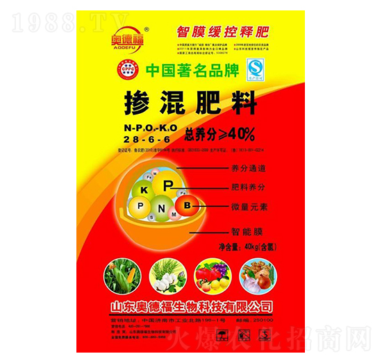 �������28-6-6-�W�¸�