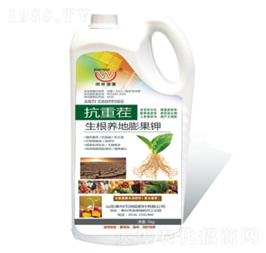 ���ز�-�����B(y��ng)������-�������