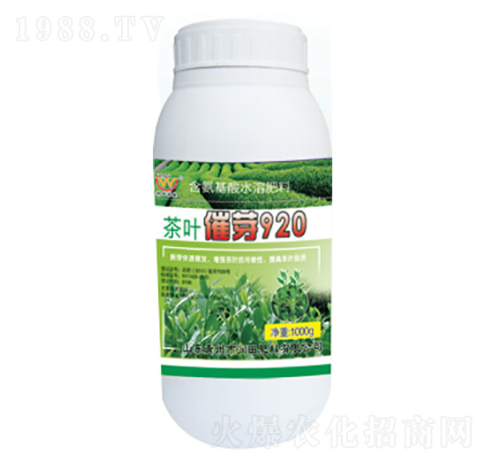 ���~��ѿ920-��(r��n)�����