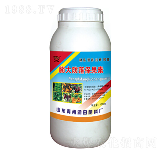 �����䱣����-�������