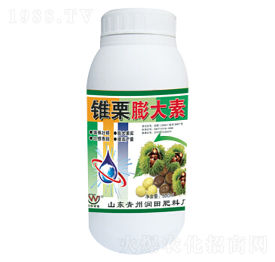 �F�������-��(r��n)�����