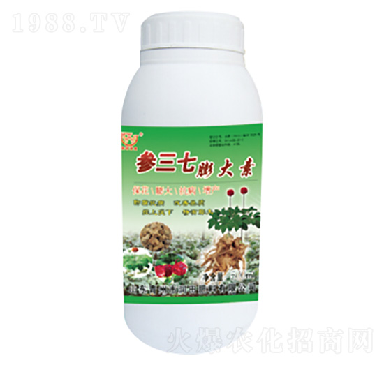 �����������-�������