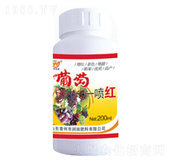 ����һ���t-��(r��n)�����