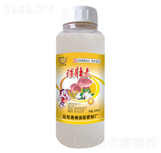 ������-��(r��n)�����