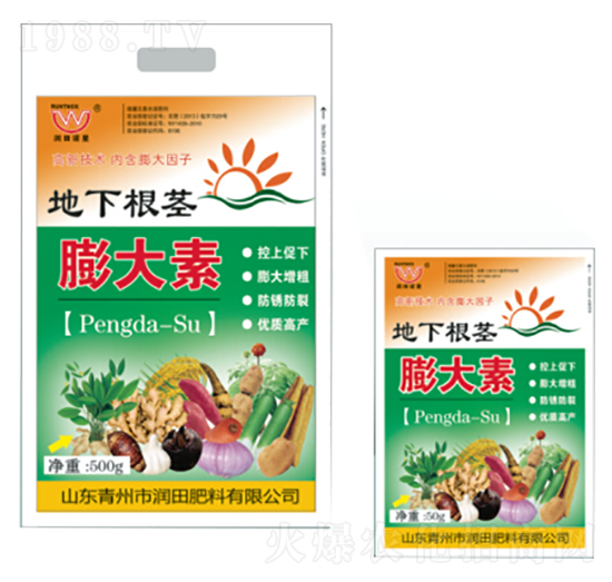 ���¸��o�����-�������