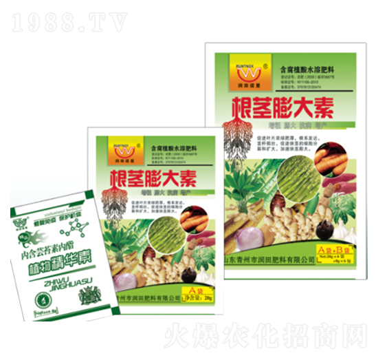 ���o�����A+B-�������