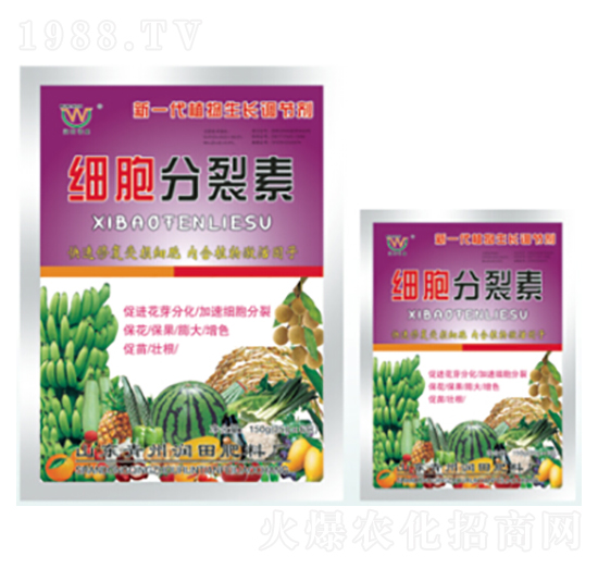 ������-��(r��n)�����