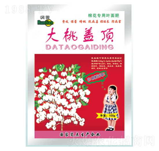 �����w�-�������